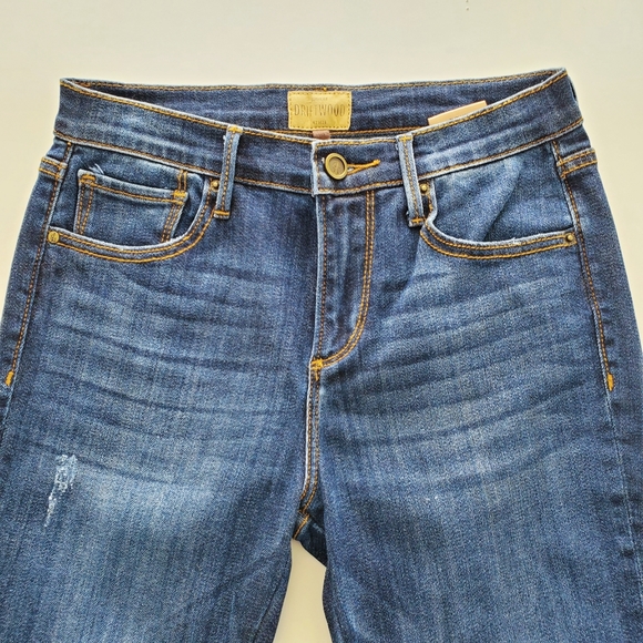 Driftwood Jackie Embroidered Floral Skinny Jeans - Picture 4 of 11